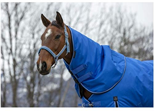 Halsteil für Weidedecke 200g Füllung 1200D TYREX EquiTheme blau/schwarz Pony