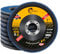 Flintronic Dischi Abrasivi a Lamelle 125MM, 10 Dischi Abrasivi a Lamella, Grana 60/80/120, ø 125 mm x 22 mm, per Rimuovere Sbavature, Ruggine, Lucidatura, Finitura, per Smerigliatrice Angolare