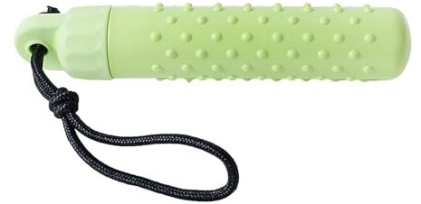 Generisch Schwimmender Hundedummy – Wasserspielzeug für Apportieren, schwimmfähig & robust (24,5 cm, grün) – Ideal für große Hunde, Seen & Strand (grün)