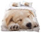 Sticker Superb Haustier Serie Muster Bettwäsche Set Cat Hund Igel Design Schwarz und weiß Einzel 135x200 cm EIN Bettbezug und EIN 1 pcs Kissenbezug, Mikrofaser (# 1)