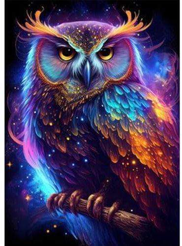 AIRDEA DIY Eule Diamond Painting Set Erwachsene Kinder, Fantasie Diamant Painting Bilder 5D Traumland Diamant Kunst Tier Diamant Malerei Set Cross Stickerei Malerei Kits für Heimdekor 30x40 cm