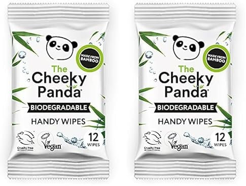The Cheeky Panda Bamboo Hand Wipes | 24 Travel Wipes | Plastic Free & Biodegradable (Pack of 2)
