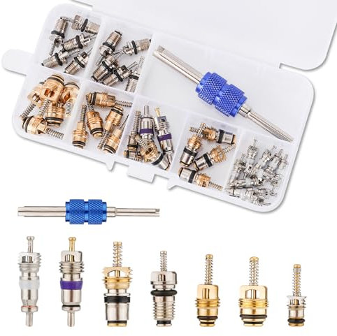 40pcs Kit de Noyau de Valve AC, Noyau de Valve de Climatiseur de Voiture Extracteur de Valve de Pneu Avec Outil d'Installation de Démontage Double à Tête pour la Réfrigération de la Climatisation