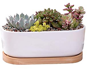 Cactus Vasetti Per Piantine Vasetti Piante Grasse Succulenta Vasetto Minimalista Bianco Ceramica Succulente Pianta Pianta Porcellana Piantatore Casa Ufficio Regalo Di Natale Decorazioni Regalo