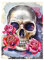 Ideen mit Herz 5D Diamond Painting | Diamant Painting Set | Motiv: 35 x 25 cm | Leinwand: 30 x 40 cm | runde Steinchen | inkl. Zubehör | Verschiedene Bilder zur Auswahl (Skull)