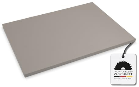Hausfux Tischplatte nach Maß - 2,5 cm Starke Spanplatte, melaminbeschichtet, mit ABS-Kante - individueller Zuschnitt - Made in Germany (Platin Grau, 50 x 50 cm)
