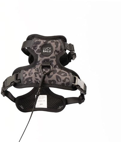 LucyBalu® Explorer Katzengeschirr mit Leine | ausbruchsicheres Katzengeschirr mit AirTag Fach | Katzen Brustgeschirr mit Katzenleine | Sicherheitsgeschirr mit Leine für Katzen | Leo M/L