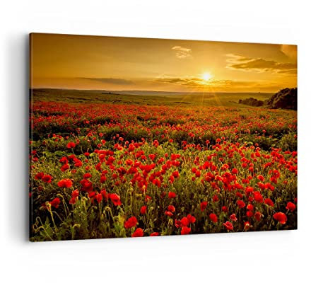ARTTOR Wandbilder Dekoration Wohnzimmer Mohn Blume Wiese Bilder auf Leinwand 120x80cm Leinwandbild Schlafzimmer Küche Deko Wand Kunstdruck Art Groß XXL Wanddeko Bild Wall Decor Canvas AA120x80-3643