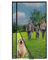 Magnetisches Moskitonetz 135x255cm Magnetisches Moskitonetz für Balkontür, Insektenschutz, magnetischer Türvorhang, Terrasse, Tür, Lamellen-Moskitonetz, magnetischer Vorhang Schwarz
