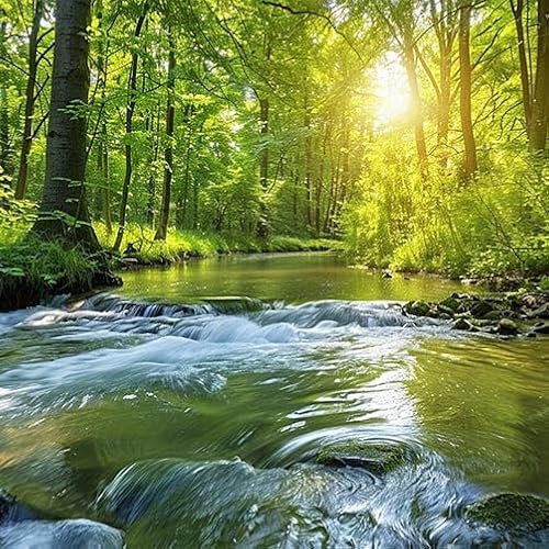 TRIOSK Sichtschutz Garten Dekoration Plane groß mit Natur Motiv Wald Bach Wasser Baum Motivbanner Blickdicht für Terrasse Zaun Gartenzaun Gartenposter PVC Zaunblende 600x200 cm