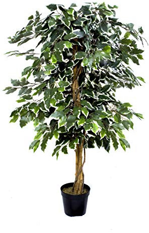 GreenBrokers Premium Künstlicher Ficusbaum 140 cm Topfpflanze