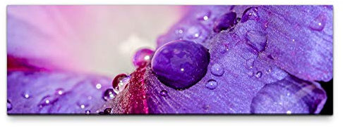 Eau Zone Leinwandbild auf Echtholzrahmen Wassertropfen auf einem Blatt 120x40cm