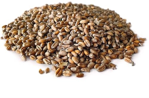 Tigernuessekaufen.de Weizen 20KG | Karpfen Futter