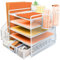 PLSOPPKG 5 Tier Paper Letter Tray with File Holder, Metal Mesh Desk File Organiser with Drawer and Pen Holder, Multifunctional Magazine Document Holder for Office，White