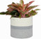 Accmuzzy 30cm Plant Pots Indoor,Cotton Rope Woven Basket House Planter Indoor Plant Pot Floor Standing Large Flower Pots Indoor,Foldable Laundry Storage Basket Home Decoration (White&Mixed Grey)