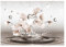 Fototapete 3D EFFEKT Blumen Magnolie Abstrakt Sepia Fototapeten Schlafzimmer Wohnzimmer Wandtapete Vlies Tapete UV-Beständig Montagefertig (368x254 cm - 4 Bahnen)