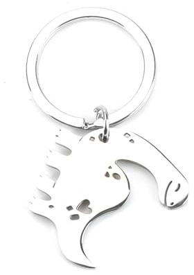 Personalisierter Schlüsselanhänger Mit Dinosaurier Anhänger Aus Edelstahl, Ein Kreatives Geschenk Für Paare, Freunde, Ideal Für Geburtstage, Reisen, Geschenke Für Frauen Und Guter Freundinnen