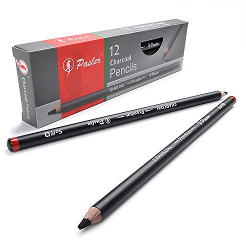 Pasler® Charcoal Drawing Pencils,you can choose Soft, Soft-S, Medium and Hard for Drawing, Sketching, Shading, Artist Pencils for Beginners & Artists Set of 12 Count (SOFT-S)
