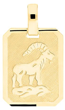 My Gold Damen Herren Sternzeichen Anhänger STEINBOCK Gold 333 (Ohne Kette) Echtes Gelbgold (8 Karat) Platte 21mm x 12mm Gaudino A-04400-G303-Ste
