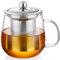 MEISINNI Taza de Té, 500 ml Taza de Té con Infusor de Acero Inoxidable y Tapa, Taza de Vidrio Transparente para Té en Hojas y Flores, Compatible con Cocina de Gas