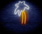 Coconut Palm Tree Flex Silicone LED Neon Sign White & Golden st16s33-fnu0036-we