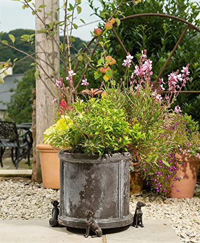 Potty Feet Weimaraner Dog Themed Plant Pot Feet - Bronze Color - Set of 3