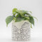 Mushroom Decor Plant Pots Handmade Design Speckled White Ceramic Indoor Planter for Succulents Retro Vase Modern Boho Cottagecore Room Decor Cute Vintage Aesthetic Eclectic Funky Home Decor Gift