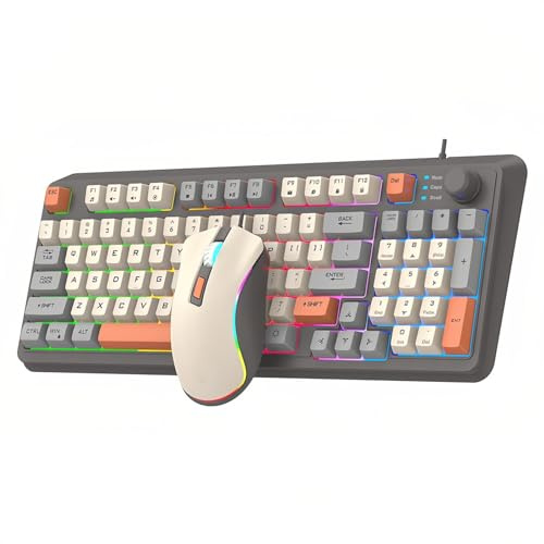 Lancoon Kompakte Kabelgebundene Tastatur und Maus Set mit 94 Tasten Lautstärkeregler Buntes Licht Ergonomische Mäuse Einstellbare DPI Seitentasten für PC Laptop Tablet Computer Büro (Grau)