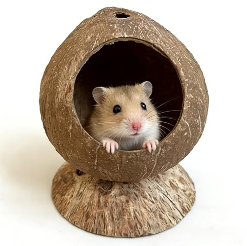 XPJBKC Hamsterhaus, 5.5 X 4.3 Zoll Kokosnussförmiger Hamster Haus Mit 2.7 Zoll Loch, Natural Hamster Versteck Für Hedgehog Gerbil Hasen Kleine Haustiere