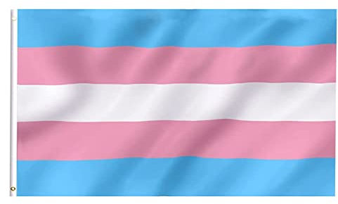 iPEAK Bandiera transgender LGBTQ - Bandiera trans grande, 90 x 150 cm, per feste di carnevale, decorazioni e celebrazioni, confezione da 1