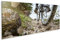islandburner Prime Bild auf Leinwand Mountainbike Downhill Rad Schotterbahn Bilder Wandbilder Poster
