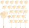 QUARKZMAN 24Pcs Épinglette Boutonnière en Fleur de Rose Jaune Clair Broches de Boutonnières de Poche pour Cérémonie de Mariage Anniversaire Bal de Promo Dîner Formel Décoration de Costume