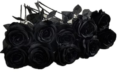 Rikyo Mazzi di rose artificiali da 48 cm, con 10 steli, non sbiadiscono, petali di seta, piante finte per foto, feste, matrimoni, composizioni floreali (nero)