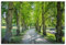 ARTland Wanddeko Leinwand Bilder Wandbild 90x60 cm Landschaften Pflanzen Park Allee Bäume Linden Sommer Stockholm Schweden U4RI