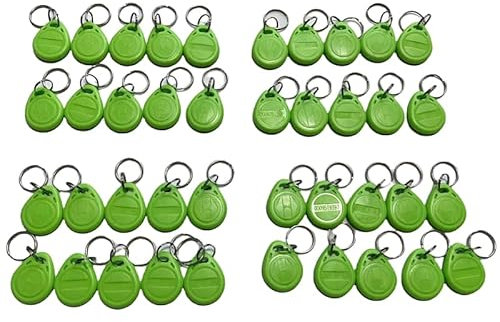 EM4100 Smart-ID-Karte mit RFID-Schloss, 125 kHz Zugangs-Schlüsselanhänger (40)