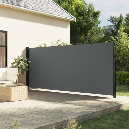 IKAYAA Seitenmarkise Ausziehbar Markise 160 x 500 cm, Sichtschutz, Sonnenschutz, Blickdicht, Seitenrollo, für Balkon, Terrasse, Garten, Anthrazit