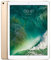 Apple iPad Pro 12.9 (2.ª Generación) 256GB 4G - Oro - Desbloqueado (Reacondicionado)