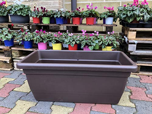 Generico FIORIERA Fioriere Vaso plastica Rettangolare da 100 CM Vari Colori Anthea da Interno e da Esterno AMDGarden (Bronzo)