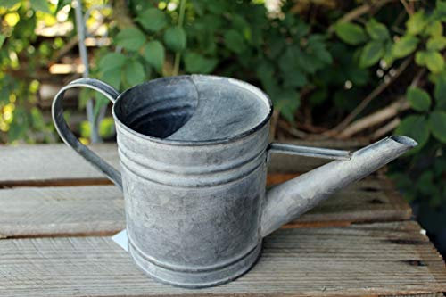 Gwenys Haus Zink Deko Gießkanne