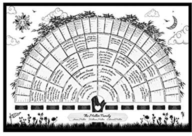 COMTERVI Albero genealogico Pedigree Albero genealogico Generazioni Storia familiare Decorazione visualizzabile