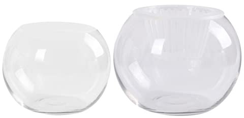GOOHOCHY Vase Verre Transparent pour Plantes Hydroponiques Décoration De Bureau Créative Et Élégante pour Maison Restaurant Hôtel