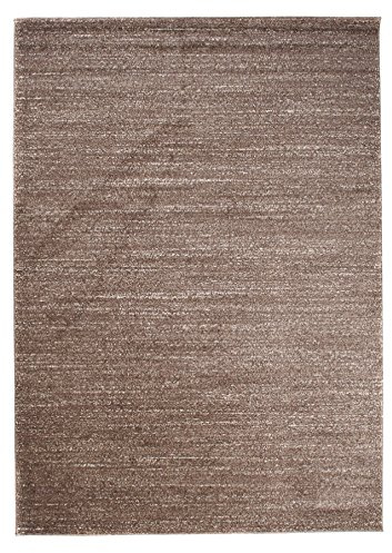 Carpeto Teppich Wohnzimmer 60x100cm Braun Einfarbig Weich Pflegeleicht | Teppich für Schlafzimmer Büro Esszimmer Eingangsbereich Fußbodenheizungsgeeignet Reinigungsmittelbeständig Minimalistisch