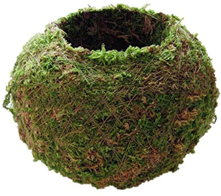 MagiDeal Unbekannt Mooskugel Blumentopf Pflanzer für Sukkulenten Pflanzen - 15 cm