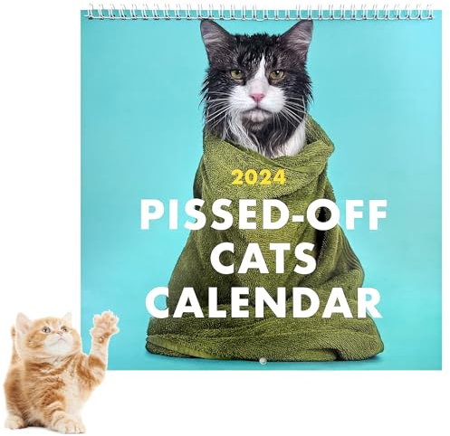 Kalender d Off Cats