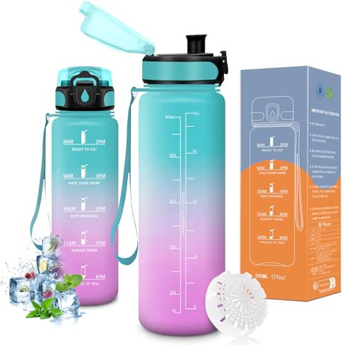 Vikaster Bouteille, Gourde 0.5l, sans BPA, Étanche & Réutilisable, Convient Pour la Gym, Yoga, Camping, Sport, Gourde Randonnée, B-vert - Violet