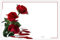 celloexpress Blank (3 Red Roses) Flower Message Cards - 60mm x 90mm - Blank Florist Card Gift Notes (Pack of 20)