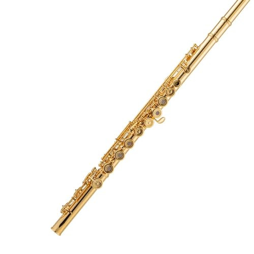 Flöjt Nybörjare Set Flöteninstrument Versilbert 16 Löcher Französische Flöte Offen Geschlossen Instrument In C(Gold)