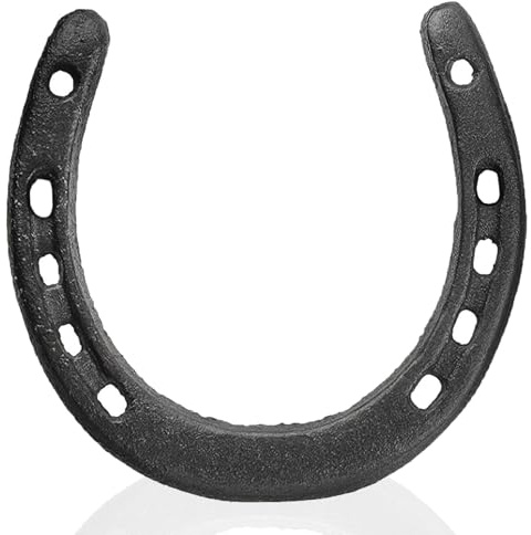 QTMMC Black Cast Iron Horseshoe Wall Decor Metal Horse Shoe Wedding Gift | Art Hanging Ornaments Western Rustic Feng Shui Good Luck Charm Indoor Outdoor Garden Shed Farmhouse Home, 11.7 x 11 cm