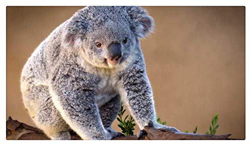 TWYYDP Klassisches Puzzle 1000 Teile Molliger Wombat Bild Foto Wohnkultur