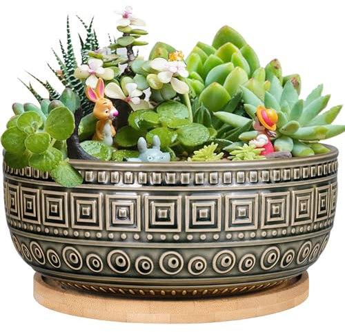 G EPGardening 8 Inch Ceramic Succulent Planter Pots Round Shallow Bonsai Planter Pot for Indoor Plants with Drainage and Bamboo Saucer Gray